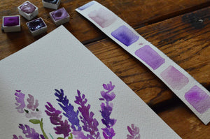 Lavender Watercolor